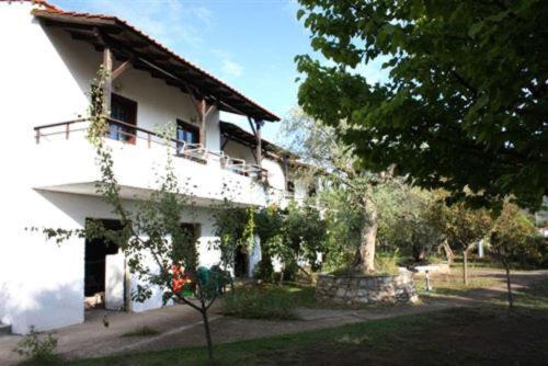 Olive Studios And Apartments Skala Potamia  Exterior foto
